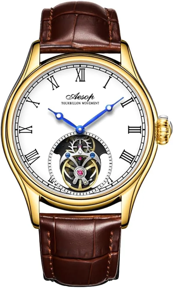 Aesop 7061 Watch for Business Men Waterproof Mechanical Watches Flying Tourbillon Male Skeleton Man Brand Luxury Clocks 2023 New (Gold White, Leather)
