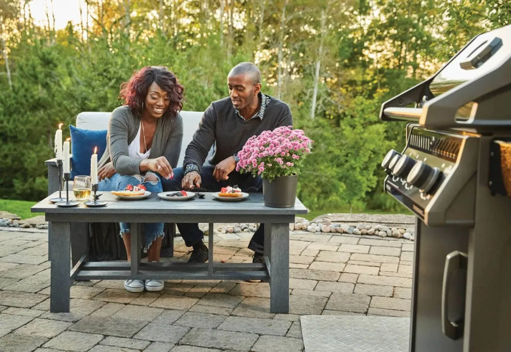 Napolean Rogue 425 Gas Grill With Side Range Burner