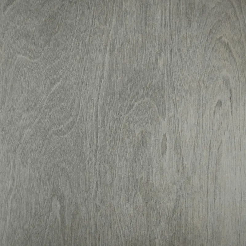 Outline 2 Door Cabinet