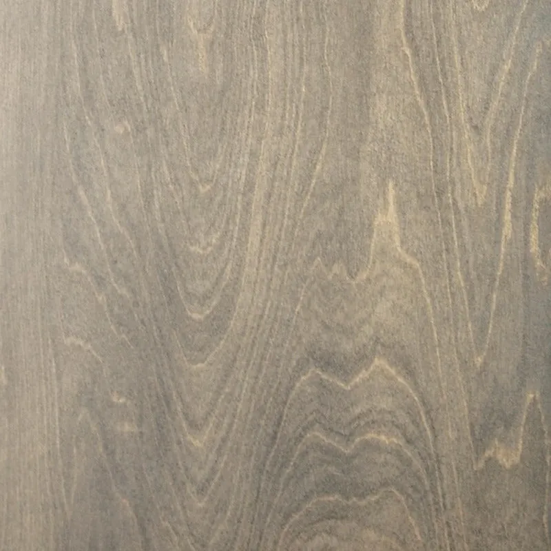 Outline 2 Door Cabinet