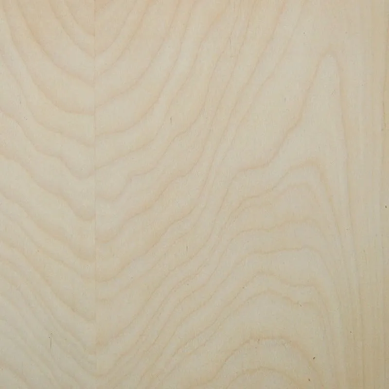 Outline 2 Door Cabinet