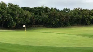 Punta Blanca